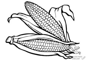 como dibujar una mazorca de maiz