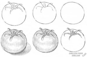 cómo dibujar un tomate