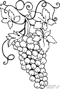 cómo dibujar una uva