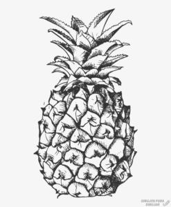 dibujo de frutilla