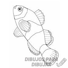 dibujos de pescados para imprimir