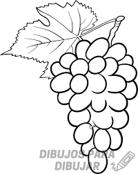 dibujos de uvas para imprimir