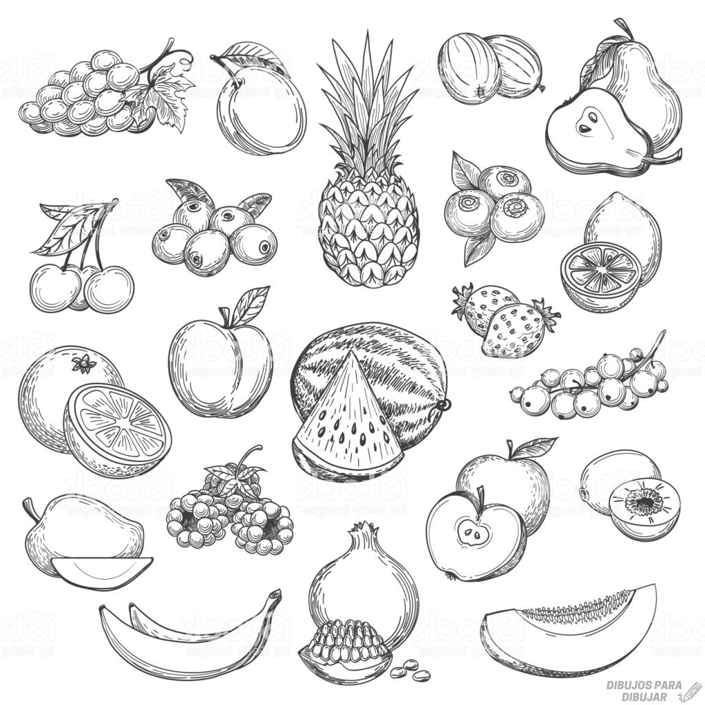 ᐈ Dibujos de Frutas【CLICK】Delicioso dibujo