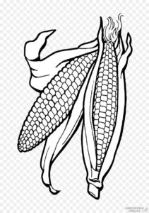 imagenes de maiz