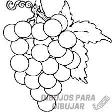 imagenes de uvas