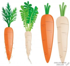 imagenes de zanahorias infantiles