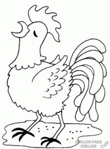 pollo caricatura
