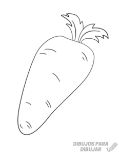 zanahoria planta