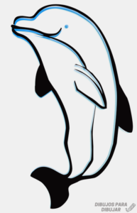 Como dibujar un delfin a lapiz