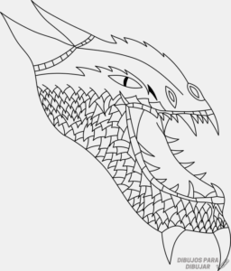 Imagenes de dragones para colorear