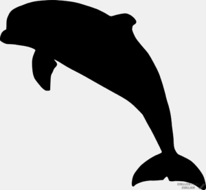 Imagenes delfines animados