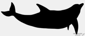 Laminas de delfines