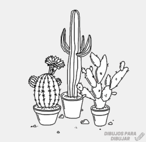 cactus en dibujo