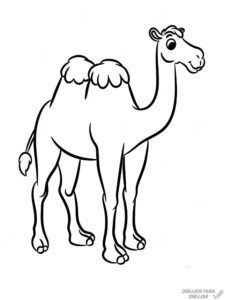camello animado