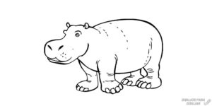 caricatura de hipopotamo