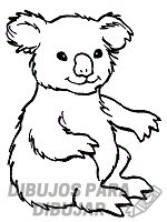 como dibujar koalas