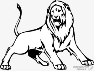 como dibujar un leon facil para niños