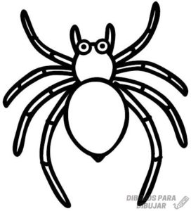como dibujar una araña facil