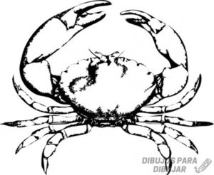 como se dibuja un cangrejo