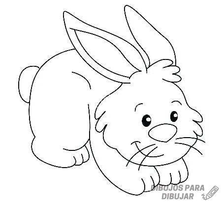 磊 Dibujos de Conejos【190】para dibujar