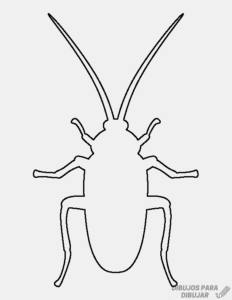 cucaracha dibujo animado