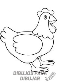 cómo dibujar una gallina