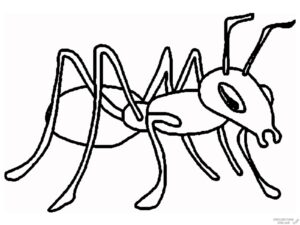 cómo dibujar una hormiga
