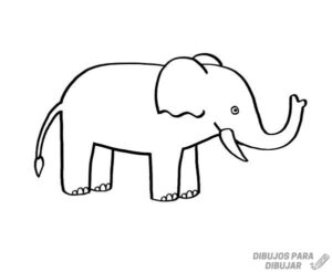 cómo se dibuja un elefante