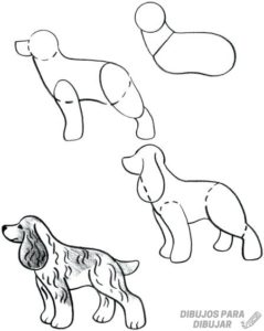 dibujo cachorro perro