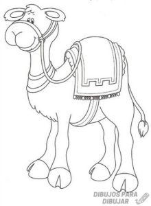 dibujo de camello para niños