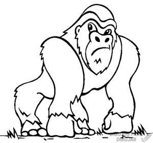dibujo del gorila