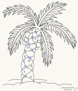 dibujo palmeras para pintar
