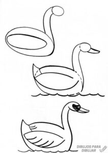 dibujos cisnes para imprimir