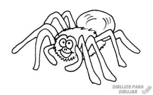 dibujos de arañas a lapiz