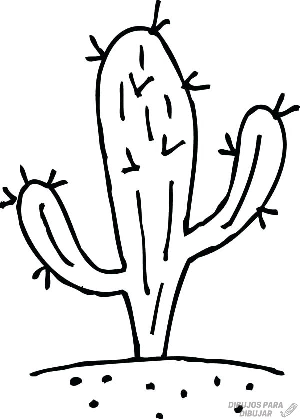 ???? Dibujos de cactus【190】Lindas y a lápiz