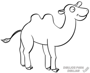 dibujos de camellos para niños