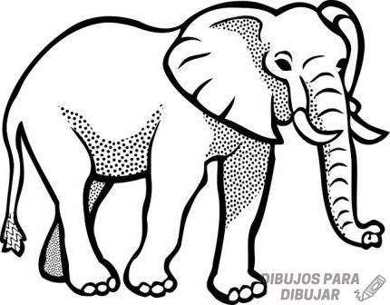 🥇 Dibujos de Elefantes【190】para dibujar