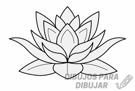 dibujos de flor de loto para tatuajes