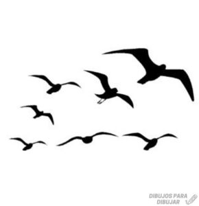 dibujos de gaviotas volando