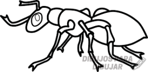 dibujos de hormigas para colorear