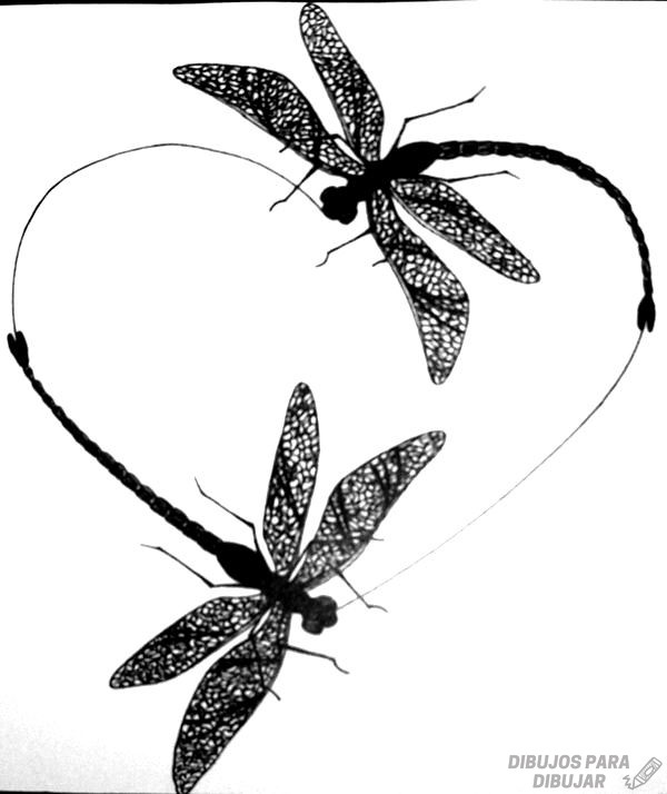 🥇 Dibujos de libélulas【190】para dibujar