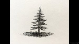 dibujos de pinos para colorear