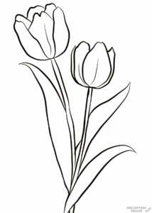 dibujos de tulipanes para colorear