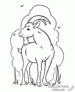 dibujos de una cabra animada