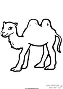 dibujos infantiles de camellos