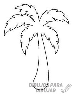 🥇 Dibujos de palmeras【190】Lindas y a lápiz