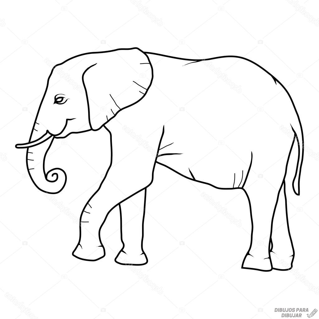 Слон черно белый контур