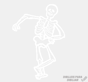 esqueleto facil de dibujar