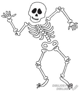 esqueleto para recortar