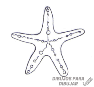 estrella de mar caricatura